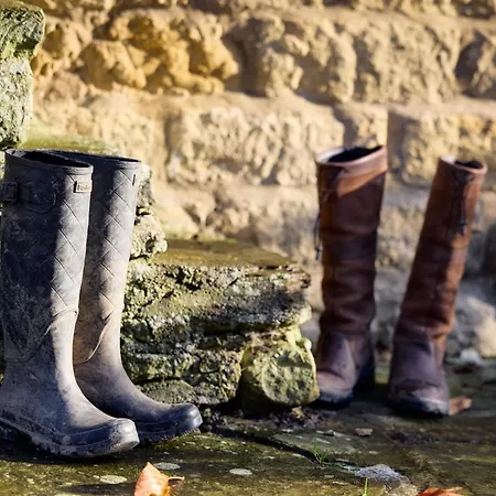 Rose - Sands Farm Wilton (North Yorkshire)